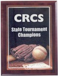 Custom Printed Photo Sport Plaques