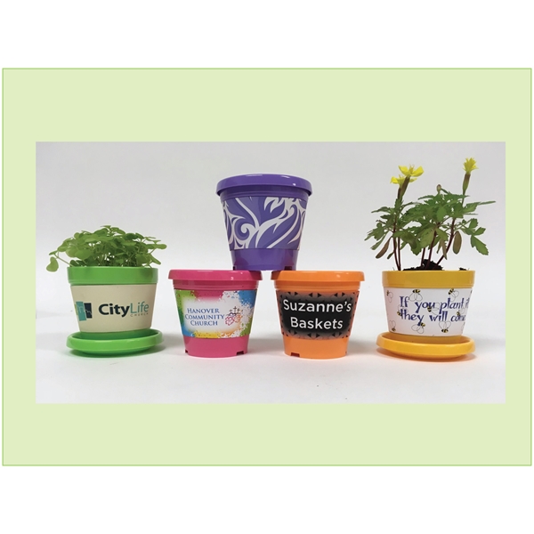 Spruce Trees, Custom Imprinted With Your Logo!