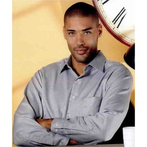 Mens Van Heusen Woven Dress Shirts, Custom Embroidered With Your Logo!