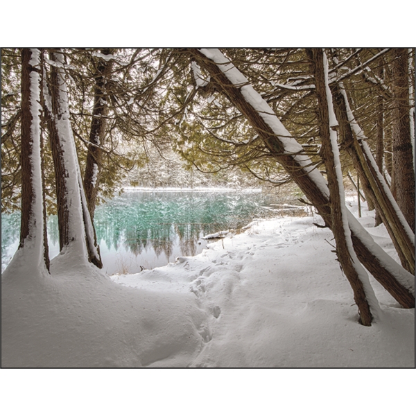 Michigan Appointment Calendars, Customized With Your Logo!